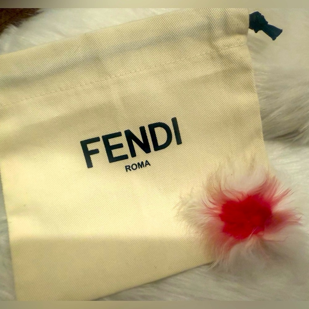 Authentictic FENDI Brooch with dust bag